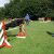 Agility - agility 2011-07-24